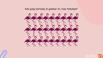 Uji Ketajaman Mata dan Fokus Lewat Teka-teki Gambar, Selesaikan dalam 5 Detik!