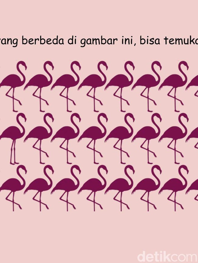 Uji Ketajaman Mata dan Fokus Lewat Teka-teki Gambar, Selesaikan dalam 5 Detik!