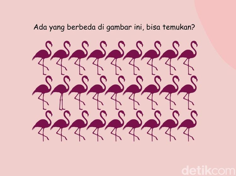 Uji Ketajaman Mata dan Fokus Lewat Teka-teki Gambar, Selesaikan dalam 5 Detik!