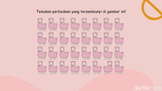 Asah Otak