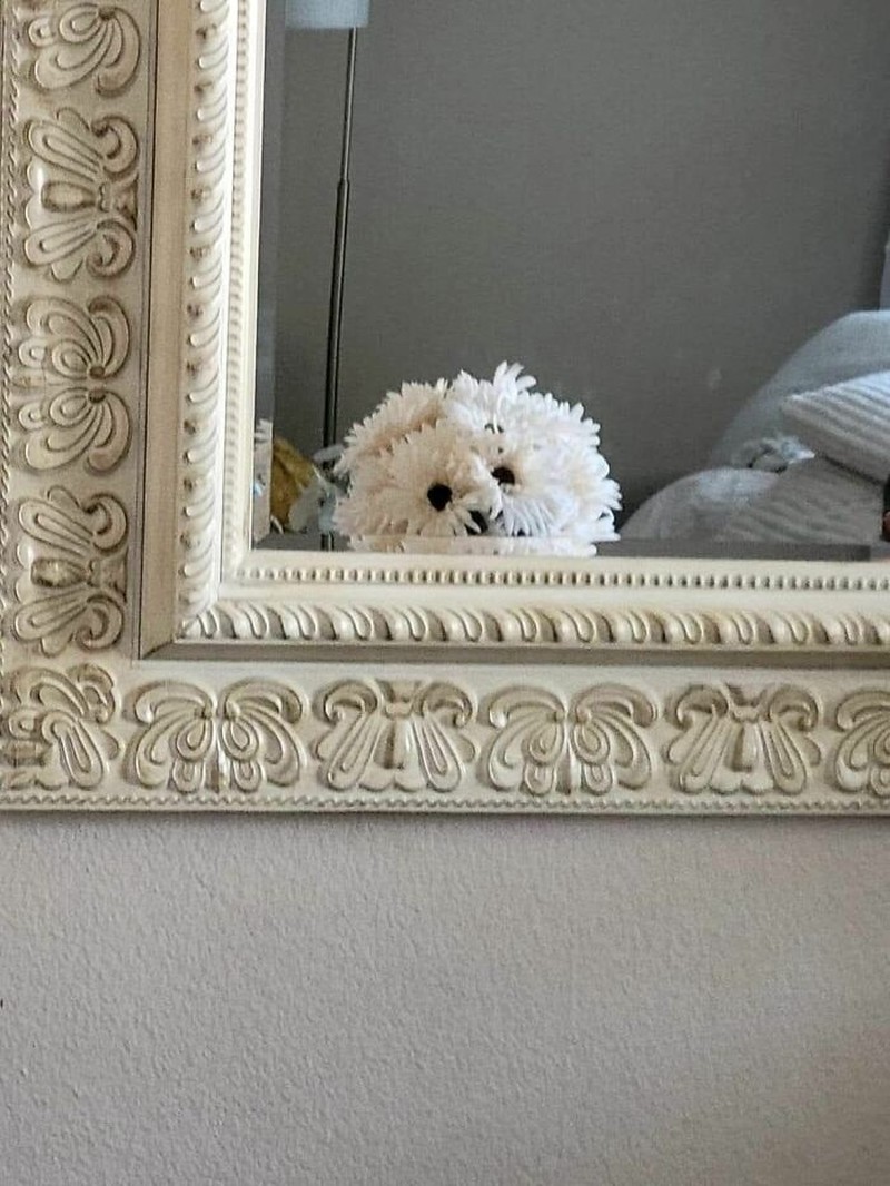 Foto Benda Seolah Punya Wajah