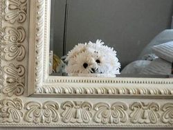 Ngeri tapi Nyata! Benda Sehari-hari Ini Seolah Punya Wajah