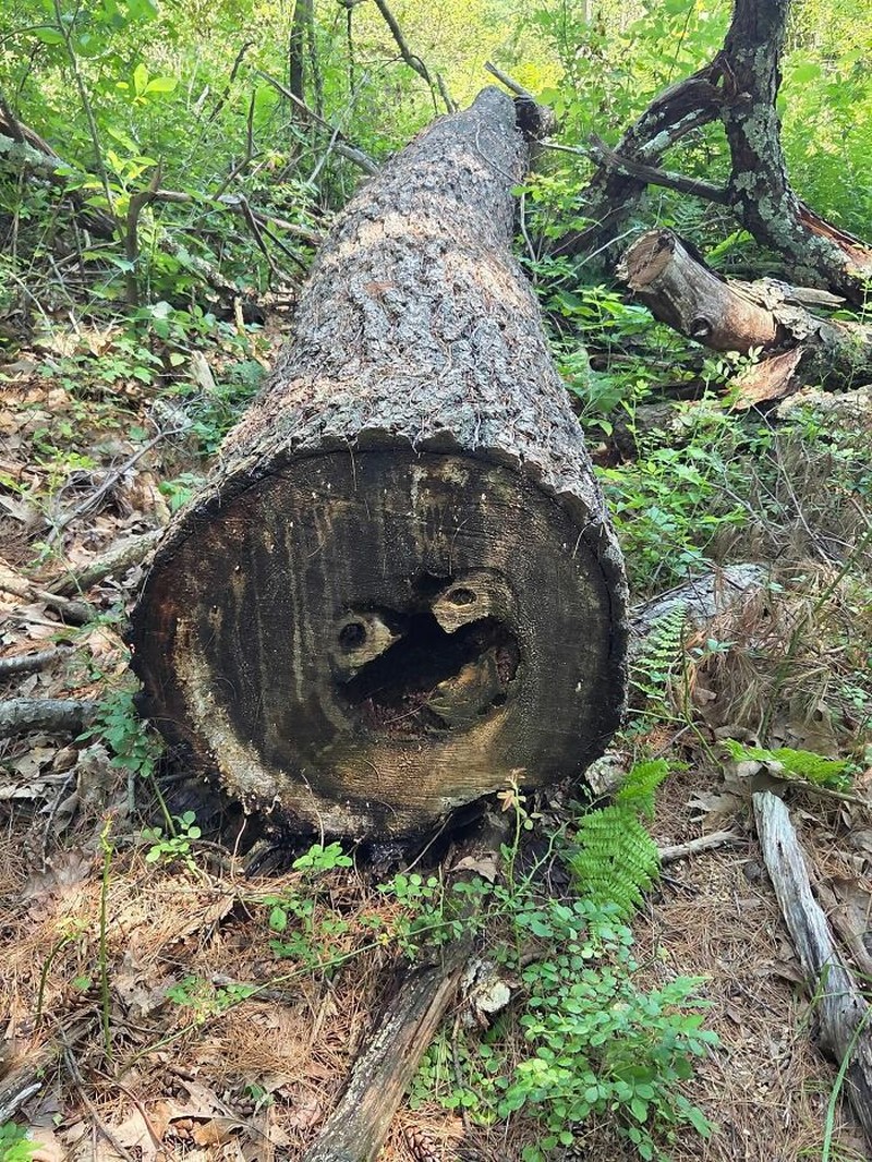 Foto Benda Seolah Punya Wajah