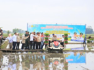 Percepatan Tanam Padi, Gubernur: Sumsel Produsen Beras Ketiga Nasional