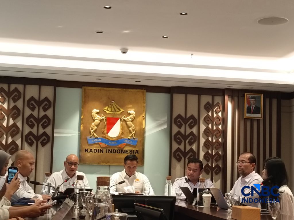 Ketua Umum Kamar Dagang dan Industri Indonesia (Kadin) Anindya Novyan Bakrie saat konferensi pers di kantornya, Jakarta, Jumat (25/4/2026). (CNBC Indonesia/Martyasari Rizky)