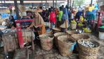 Harga Ikan Air Tawar di Lamongan Anjlok hingga 50 Persen