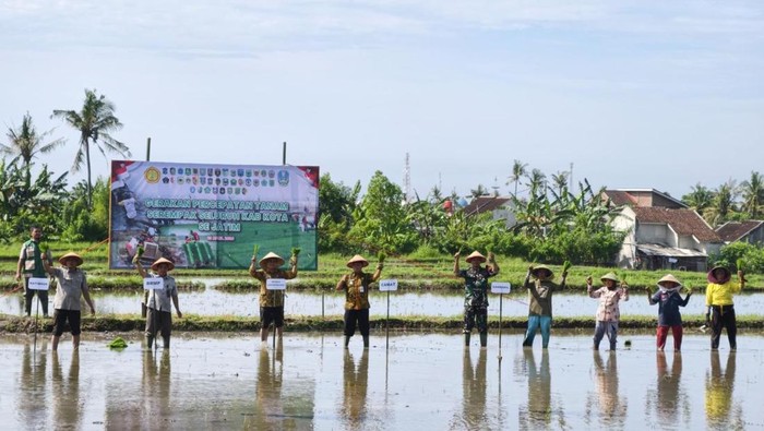 Pemkab Banyuwangi