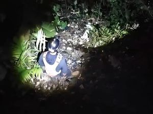 Wanita Loncat ke Jurang di Bogor Sempat Dikejar Pria dan Diteriaki Tersangka
