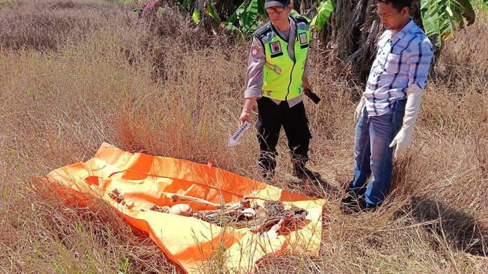 Kerangka manusia ditemukan di ladang wilayah Desa Pidodo Wetan, Patebon, Kendal, Jumat (24/4/2026) pagi.