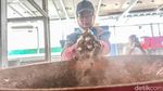 Melihat Sampah Organik Disulap Jadi Arang Ramah Lingkungan