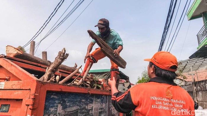 Melihat Sampah Organik Disulap Jadi Arang Ramah Lingkungan