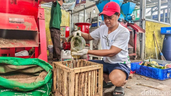 Melihat Sampah Organik Disulap Jadi Arang Ramah Lingkungan