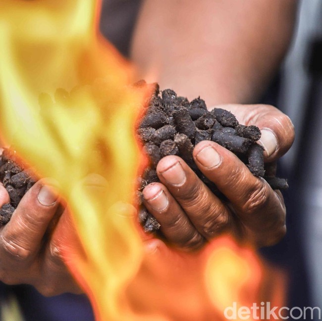 Melihat Sampah Organik Disulap Jadi Arang Ramah Lingkungan