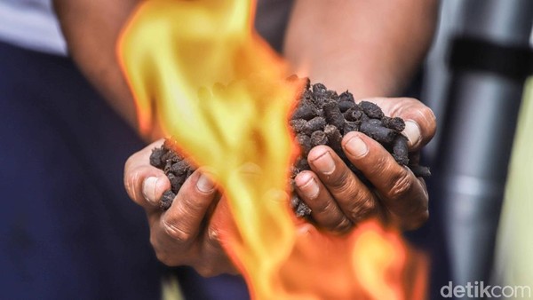 Melihat Sampah Organik Disulap Jadi Arang Ramah Lingkungan