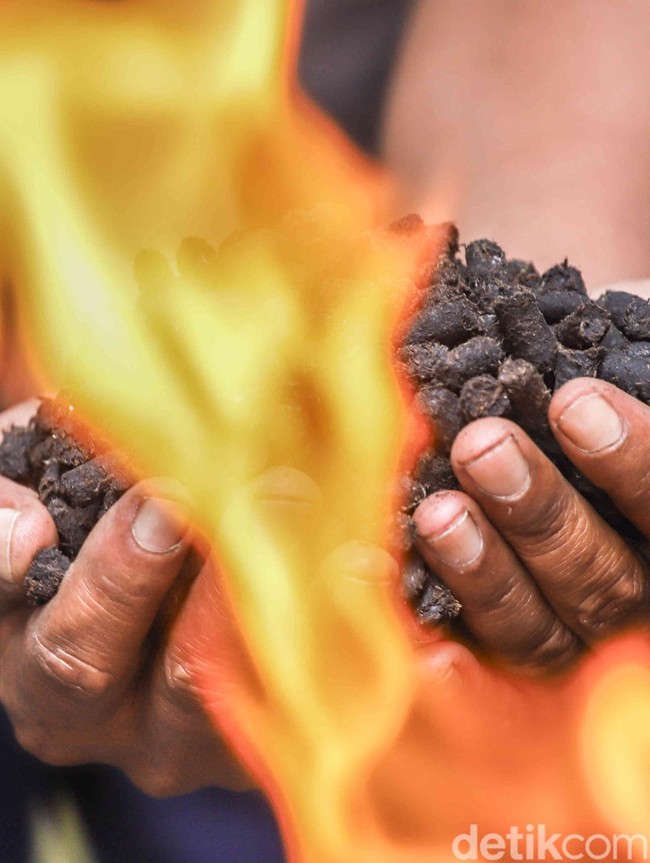 Melihat Sampah Organik Disulap Jadi Arang Ramah Lingkungan
