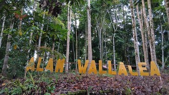 Surga Tersembunyi Birdwatcher! Ratusan Burung Endemik di TN Bogani Wartabone