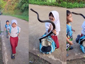 Viral! Bocah SD Bawa Ular Besar di Tas, Netizen Debat AI atau Asli
