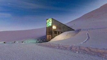 Tersembunyi di pegunungan beku Arktik, gedung Svalbard Global Seed Vault mengandalkan lokasi terpencil sebagai benteng utama. Portal pemerintah Norwegia, Regjeringen, merinci kalau gudang ini menyimpan jutaan benih dunia, terlindungi lapisan es abadi dan sistem keamanan ketat. Meski bertujuan menjaga masa depan pangan, tempat ini tetap dijaga ekstra ketat—pelanggaran sekecil apa pun langsung memicu alarm. Foto: Boredpanda