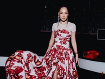 BCL Selektif untuk Orang-orang yang Mau Coba Rendang-Kue Cokelat