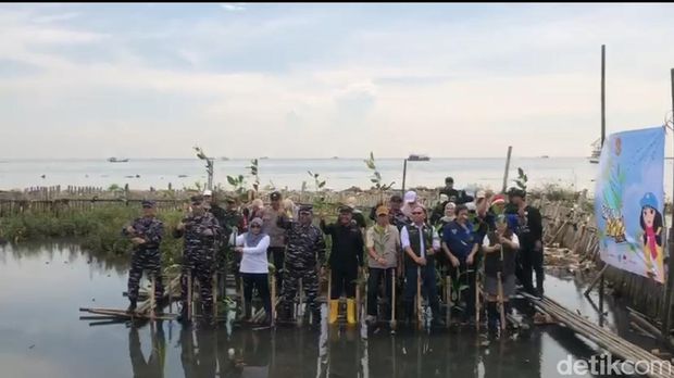 CT Arsa Foundation bersama Koarmada RI menanam bibit Mangrove dan bersih-bersih di Muara Angke, Pluit, Jakarta Utara, Sabtu (25/4/2026).