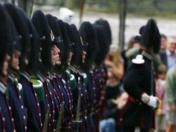 Foto Hewan Ikonik yang Viral di Dunia, Bikin Haru hingga Ngakak