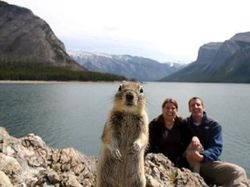 Foto Hewan Ikonik yang Viral di Dunia, Bikin Haru hingga Ngakak