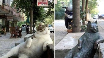 Foto kiri menunjukkan Tombili, kucing jalanan di Istanbul, Turki, yang viral karena posenya yang sangat manusiawi saat bersantai di trotoar. Setelah ia mati pada 2016, warga setempat membuatkan patung perunggu di lokasi yang sama (foto kanan) untuk mengenangnya. Foto: Boredpanda