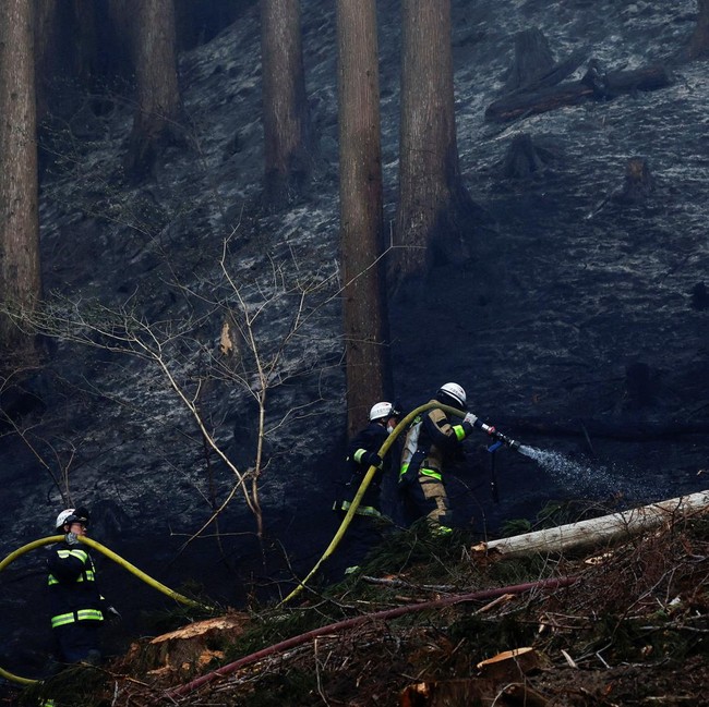 Kebakaran Hutan Melanda Otsuchi, Petugas Berjibaku Padamkan Api