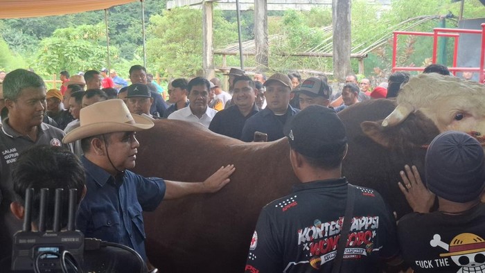 Ketua MPR RI Ahmad Muzani membuka Kontes Sapi APPSI di Wonosobo, Jawa Tengah
