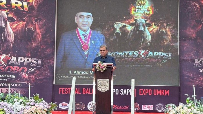 Ketua MPR RI Ahmad Muzani mendorong pemerintah dan pelaku usaha untuk mengembangkan bibit sapi yang sesuai dengan iklim tropis Indonesia. (B Belia/detikcom)