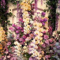 Anggrek bulan yang menjadi focal point dipermanis bunga-bunga kecil sebagai aksen, seperti Zinnia, Baby’s Breath dan Hydrangea. Foto: Instagram/@rangkai_riefinka @syifahadju