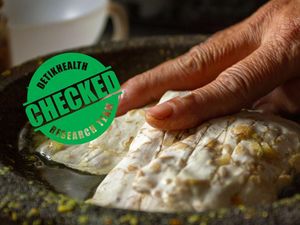 Bagaimana Fermentasi Mengubah Nilai Gizi pada Tempe?