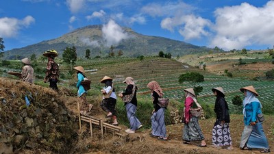Petani Temanggung Gelar Tradisi Wiwit Tanam Tembakau