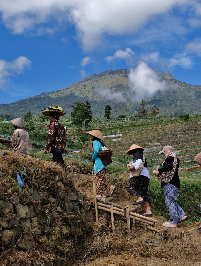 Petani Temanggung Gelar Tradisi Wiwit Tanam Tembakau