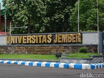 Viral Pelecehan Seksual di FH Unej, Pelaku Terancam DO