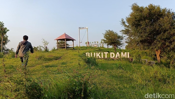 Bukit Dami di Probolinggo menjadi lokasi favorit wisatawan berburu senja