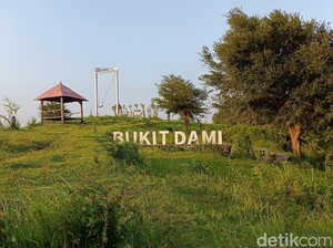 Menikmati Senja di Bukit Dami Probolinggo yang Memukau