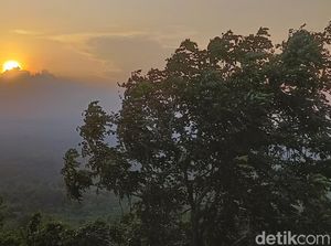 Potret Senja di Bukit Dami Probolinggo yang Bikin Berhenti Sejenak