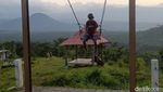 Potret Senja di Bukit Dami Probolinggo yang Bikin Berhenti Sejenak