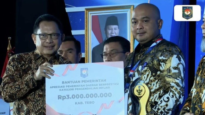 Bupati Tebo Raih Penghargaan dari Mendagri