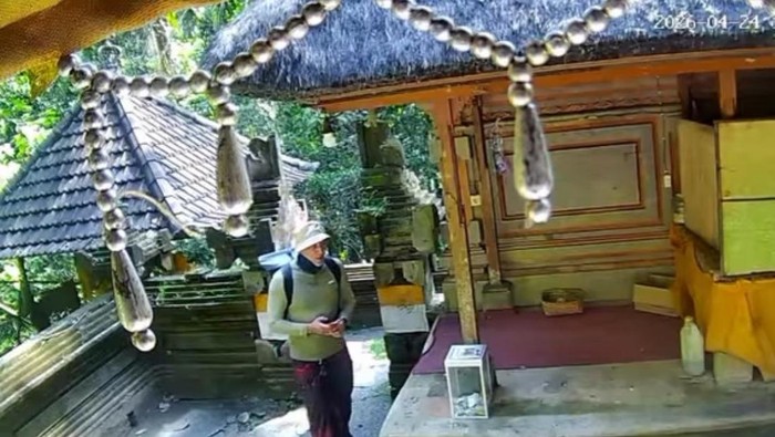 Seorang pria memakai celana hitam, baju hijau, dan topi rimba warna senada yang terekam CCTV sedang berdiri di dekat kotak sumbangan di Pura Goa Gajah, Jumat (24/4/2026). (Dok Polres Gianyar).
