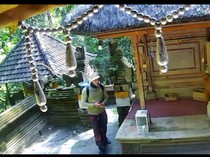 Turis Nakal Curi Uang Sesari di Pura Goa Gajah Gianyar Terekam CCTV