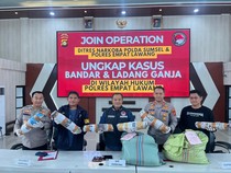 Polda Sumsel Bongkar Ladang Ganja 20 Hektare di Empat Lawang, Sita 220 Kg Ganja
