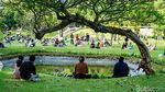 Spot Jalan-jalan Seru di Jakarta Selain Main ke Mal