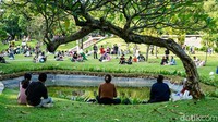 Hutan Kota GBK adalah area terbuka hijau yang berada di tengah kota. Kawasan ini cocok untuk olahraga pagi atau sore, atau sekadar jadi spot santai sambil duduk-duduk di bawah pepohonan rindang. Memiliki luas sekitar sembilan hektare, area ini menjadi kawasan outdoor multifungsi yang bisa dimanfaatkan untuk berbagai kegiatan. Terletak di Taman Kota GBK, Pintu Senayan, Jl. Jendral Sudirman, RT 1/RW 3, Gelora, Kecamatan Tanah Abang, Kota Jakarta Pusat. Kawasan ini buka setiap hari Selasa-Minggu mulai pukul 06.00-10.00 WIB dan 15.00-18.00 WIB. Untuk masuk ke sini, tidak dikenakan biaya alias gratis. Foto: Muhammad Firman Maulana