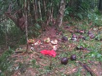 Tragedi Sepasang Pria-Wanita Bunuh Diri Minum Racun, Diduga Selingkuhan