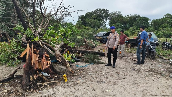 Lokasi pondok yang tertimpa pohon hingga mengakibatkan korban tewas.
