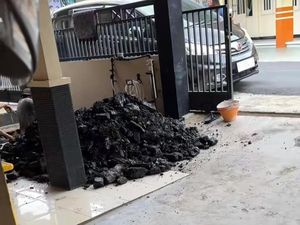 Heboh Penemuan Tambang Batu Bara Saat Warga Kaltim Gali Septic Tank