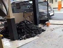 Viral Temuan Batu Bara di Rumah Kaltim Saat Bikin Septic Tank