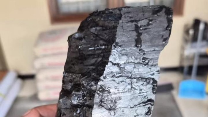 Penemuan batu bara saat gali lubang untuk septic tank di Kalimantan Timur.